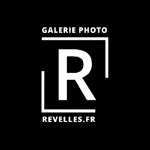 Revelles