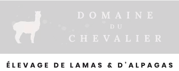 Domaine Chevalier