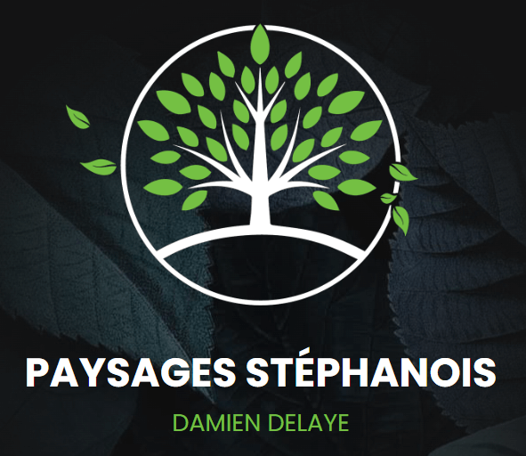 Paysages Stéphanois
