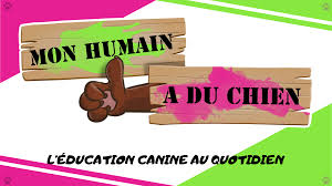 Mon humain a du chien
